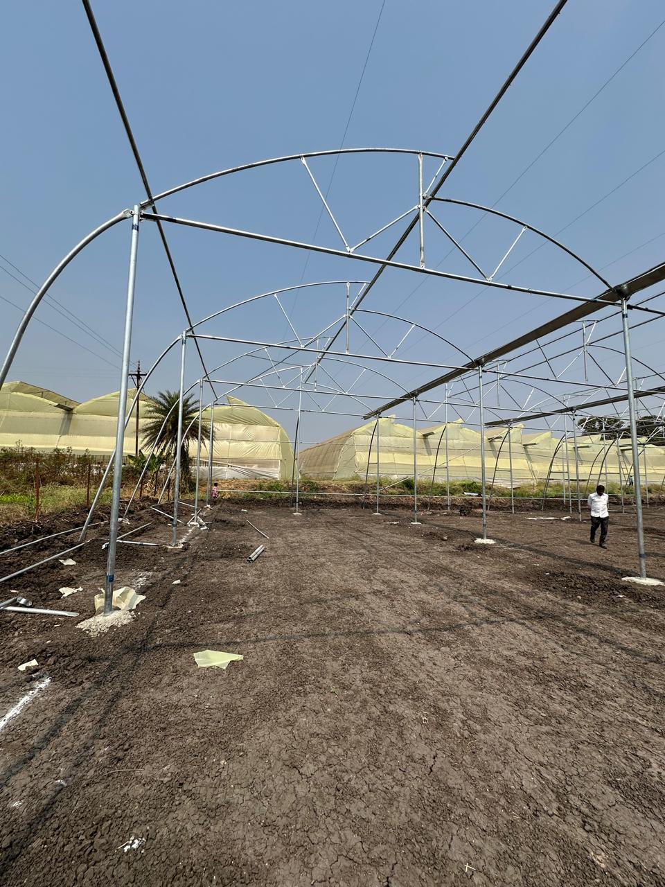 Greenhouse Project 78